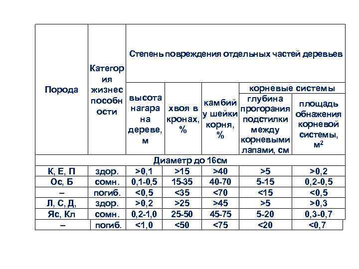 Степень повреждения отдельных частей деревьев Порода К, Е, П Ос, Б – Л, С,