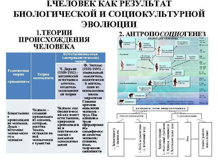 I. ЧЕЛОВЕК КАК РЕЗУЛЬТАТ БИОЛОГИЧЕСКОЙ И СОЦИОКУЛЬТУРНОЙ ЭВОЛЮЦИИ 1. ТЕОРИИ ПРОИСХОЖДЕНИЯ ЧЕЛОВЕКА Религиозная теория