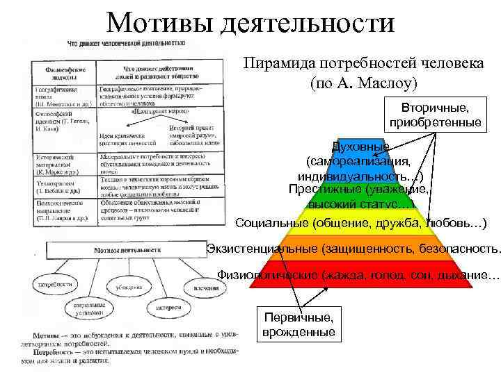 Мотивы деятельности Пирамида потребностей человека (по А. Маслоу) Вторичные, приобретенные Духовные (самореализация, индивидуальность…) Престижные