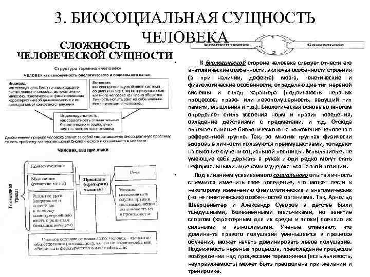 3. БИОСОЦИАЛЬНАЯ СУЩНОСТЬ ЧЕЛОВЕКА СЛОЖНОСТЬ ЧЕЛОВЕЧЕСКОЙ СУЩНОСТИ • • К биологической стороне человека следует