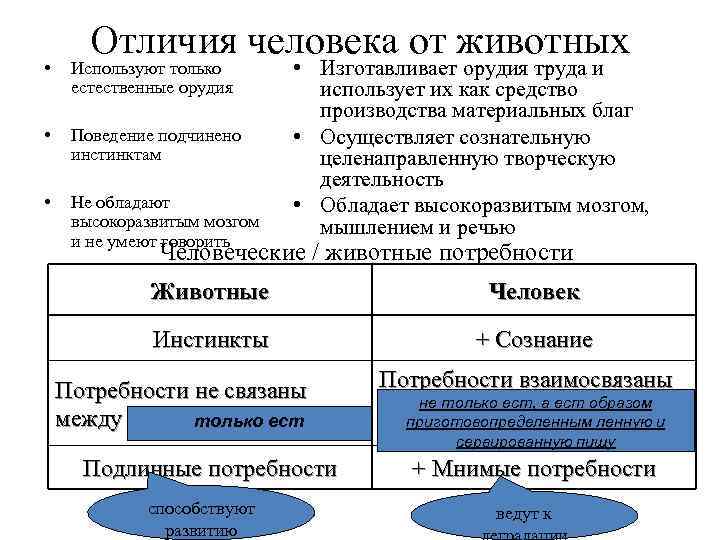 Отличия человека от животных • Используют только естественные орудия • Поведение подчинено инстинктам •