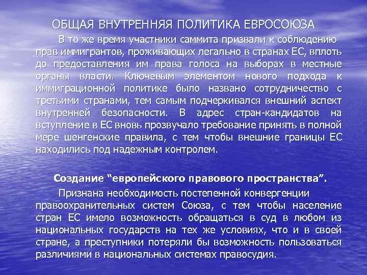 ОБЩАЯ ВНУТРЕННЯЯ ПОЛИТИКА ЕВРОСОЮЗА В то же время участники саммита призвали к соблюдению прав