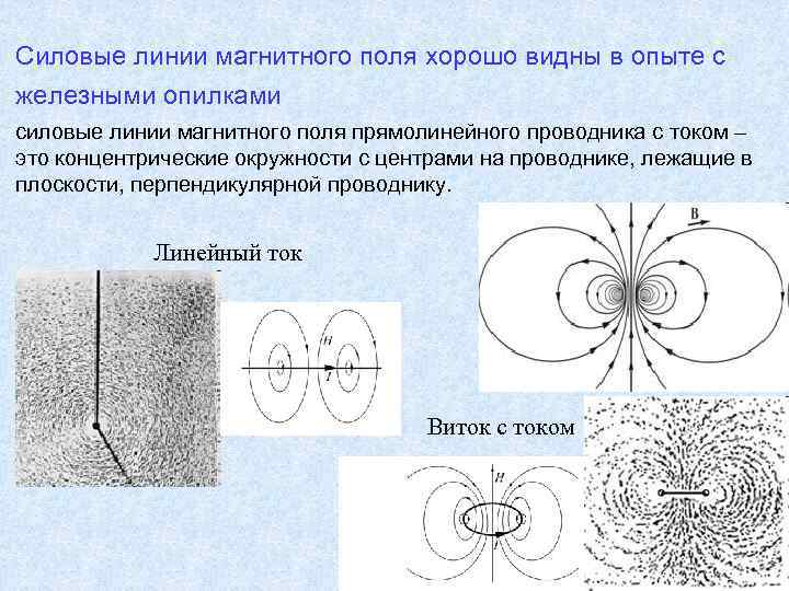 l Силовые линии магнитного поля хорошо видны в опыте с железными опилками силовые линии