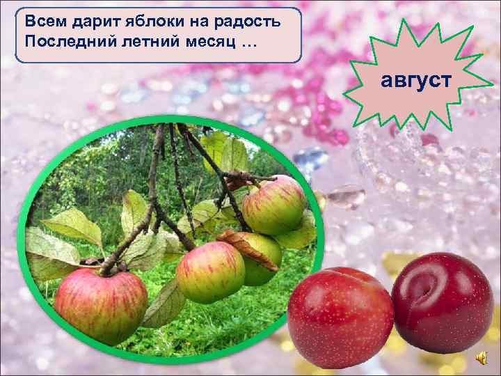 Всем дарит яблоки на радость Последний летний месяц … август 