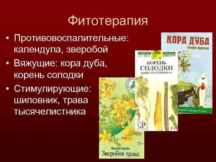 Фитотерапия • Противовоспалительные: календула, зверобой • Вяжущие: кора дуба, корень солодки • Стимулирующие: шиповник,