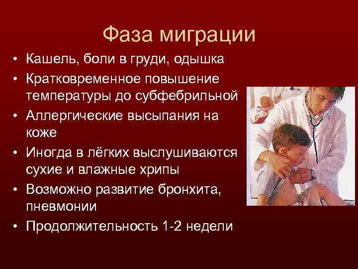 Фаза миграции • Кашель, боли в груди, одышка • Кратковременное повышение температуры до субфебрильной