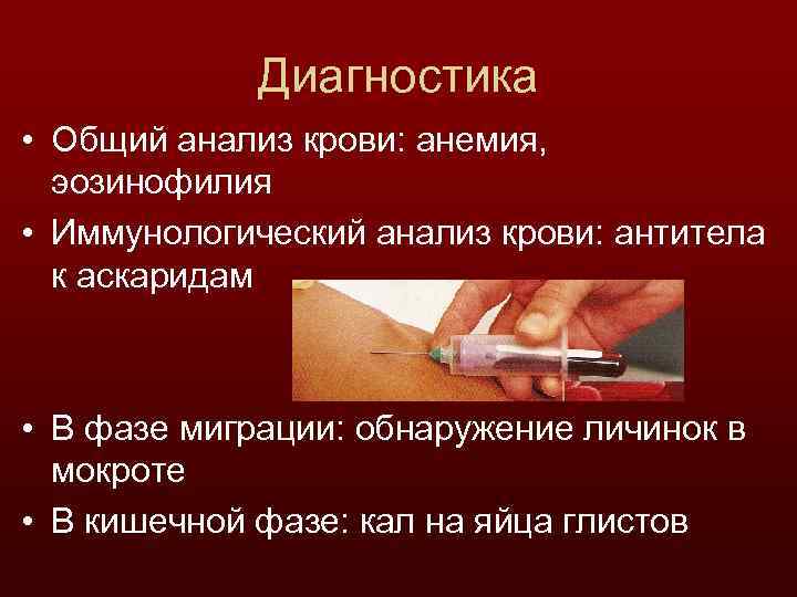 Диагностика • Общий анализ крови: анемия, эозинофилия • Иммунологический анализ крови: антитела к аскаридам