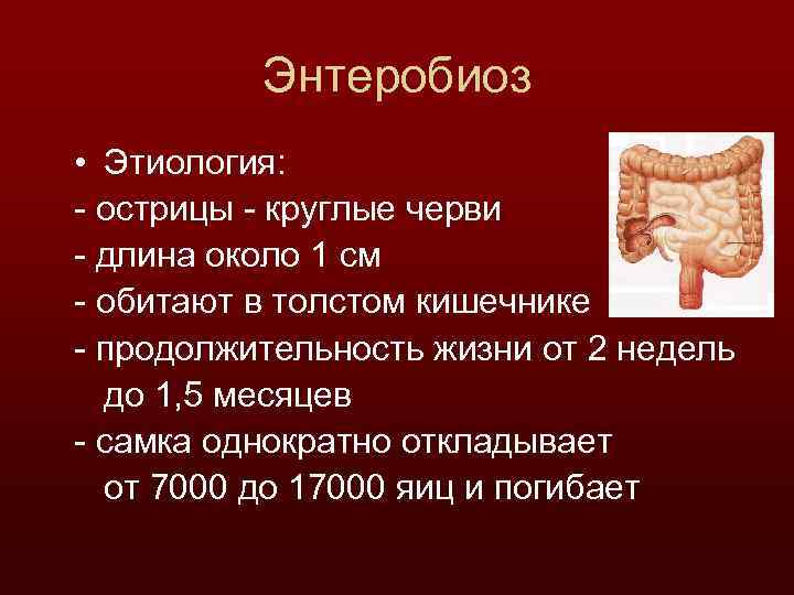 Энтеробиоз • Этиология: - острицы - круглые черви - длина около 1 см -