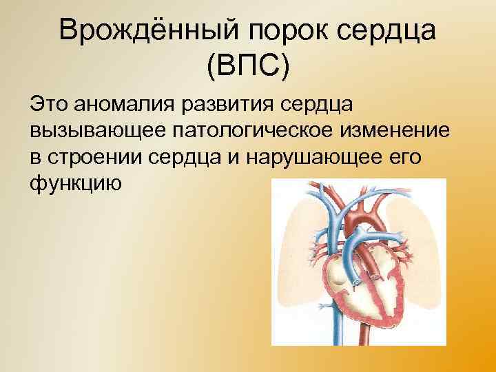 Врождённый порок сердца (ВПС) Это аномалия развития сердца вызывающее патологическое изменение в строении сердца