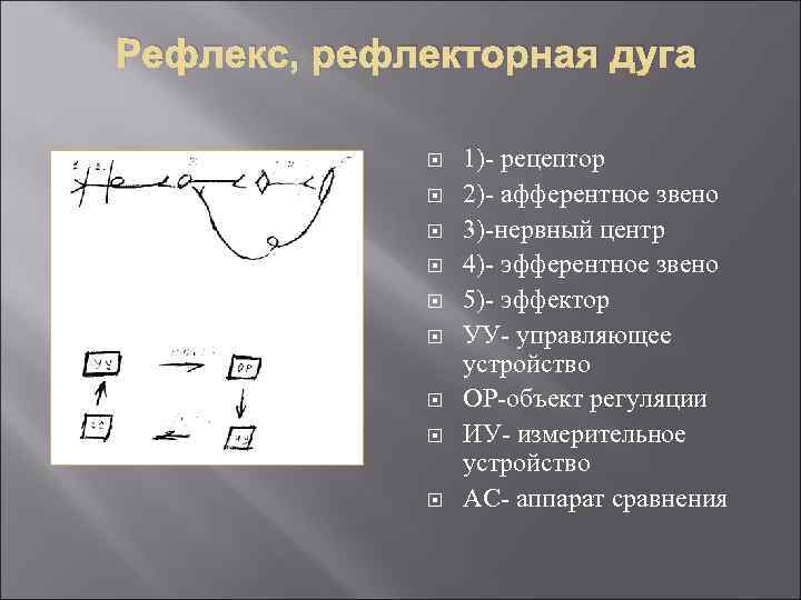 Рефлекс, рефлекторная дуга 1)- рецептор 2)- афферентное звено 3)-нервный центр 4)- эфферентное звено 5)-