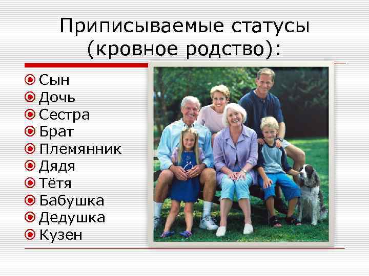 Приписываемые статусы (кровное родство): Сын Дочь Сестра Брат Племянник Дядя Тётя Бабушка Дедушка Кузен