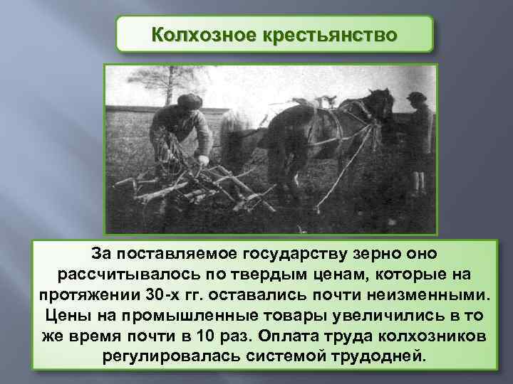 Колхозное крестьянство За поставляемое государству зерно оно рассчитывалось по твердым ценам, которые на протяжении