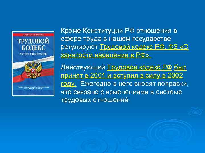 Кроме Конституции РФ отношения в сфере труда в нашем государстве регулируют Трудовой кодекс РФ,