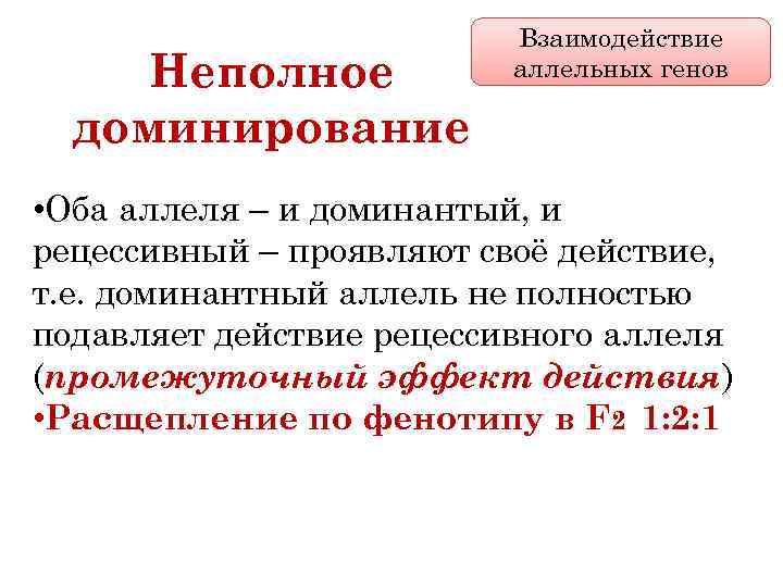 Неполное доминирование Взаимодействие аллельных генов • Оба аллеля – и доминантый, и рецессивный –