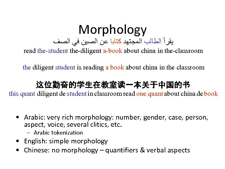 Morphology ﻳﻘﺮﺃ ﺍﻟﻄﺎﻟﺐ ﺍﻟﻤﺠﺘﻬﺪ ﻛﺘﺎﺑﺎ ﻋﻦ ﺍﻟﺼﻴﻦ ﻓﻲ ﺍﻟﺼﻒ read the-student the-diligent a-book about