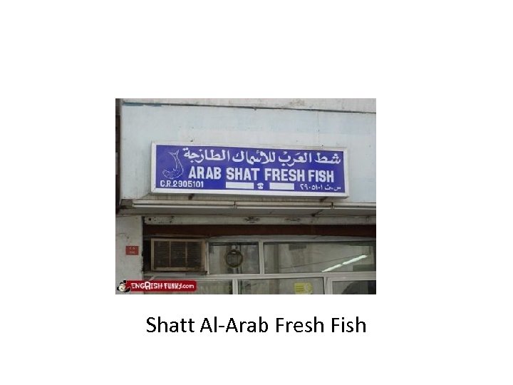 Shatt Al-Arab Fresh Fish 