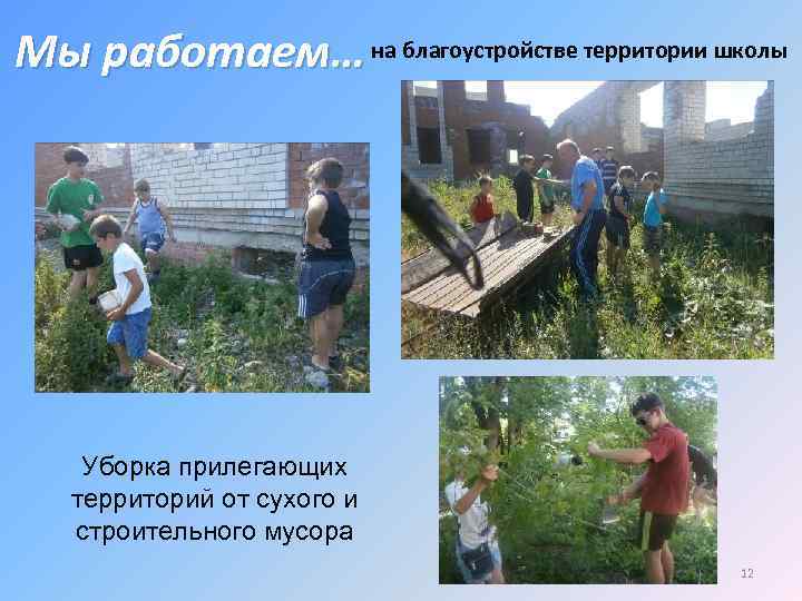 Мы работаем… на благоустройстве территории школы Уборка прилегающих территорий от сухого и строительного мусора