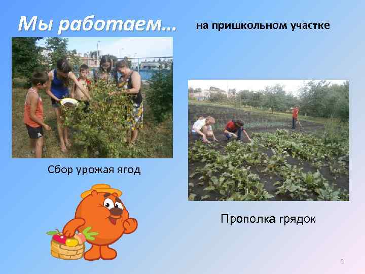 Мы работаем… на пришкольном участке Сбор урожая ягод Прополка грядок 6 