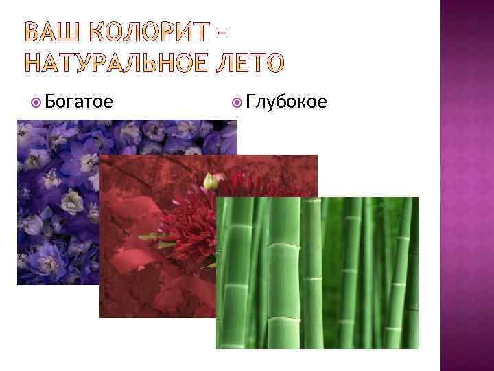  Богатое Глубокое 