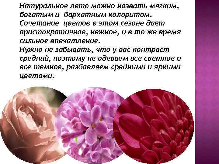 Натуральное лето можно назвать мягким, богатым и бархатным колоритом. Сочетание цветов в этом сезоне