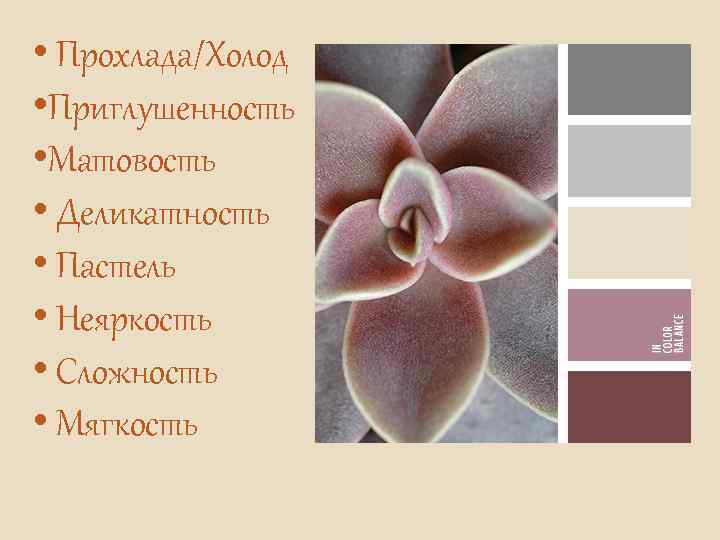  • Прохлада/Холод • Приглушенность • Матовость • Деликатность • Пастель • Неяркость •