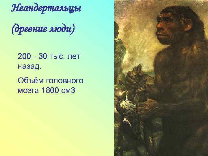 Неандертальцы (древние люди) 200 - 30 тыс. лет назад. Объём головного мозга 1800 см