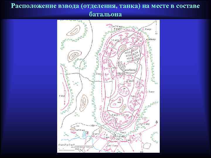 Расположение взвода (отделения, танка) на месте в составе батальона 