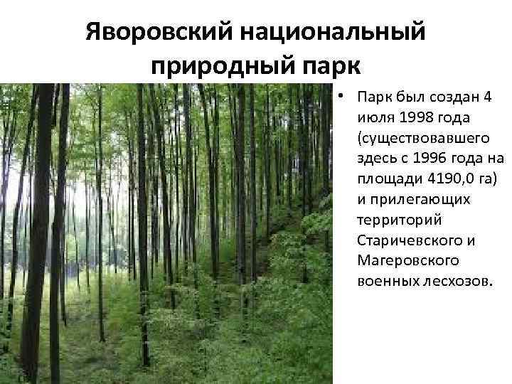 Яворовский национальный природный парк • Парк был создан 4 июля 1998 года (существовавшего здесь