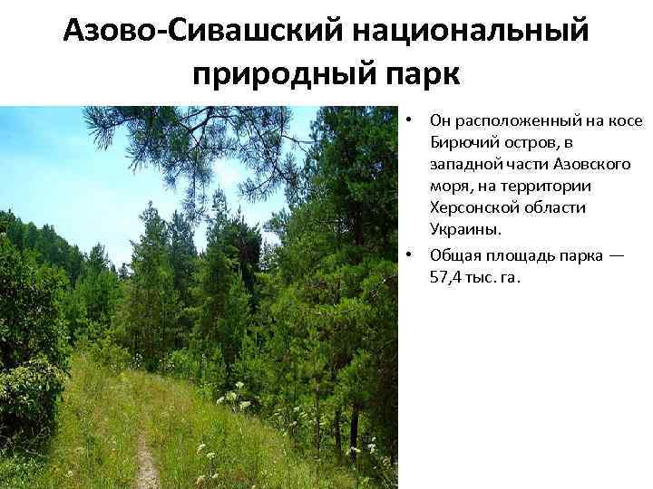 Азово-Сивашский национальный природный парк • Он расположенный на косе Бирючий остров, в западной части