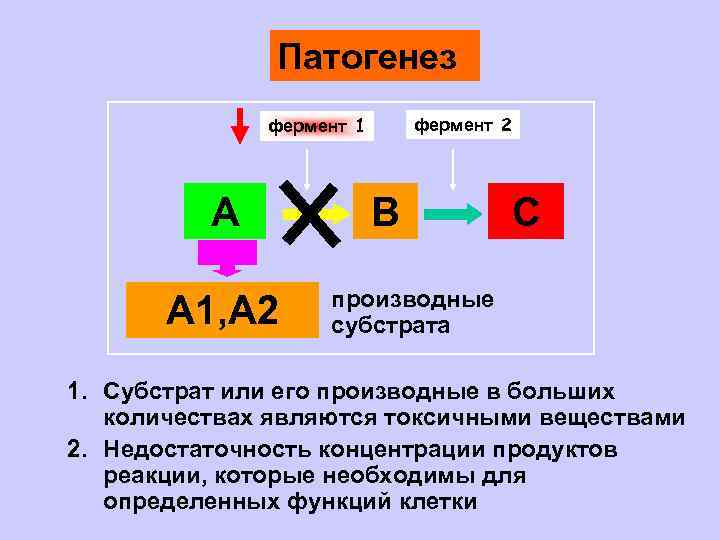 Патогенез фермент 2 фермент 1 А А 1, А 2 В С производные субстрата