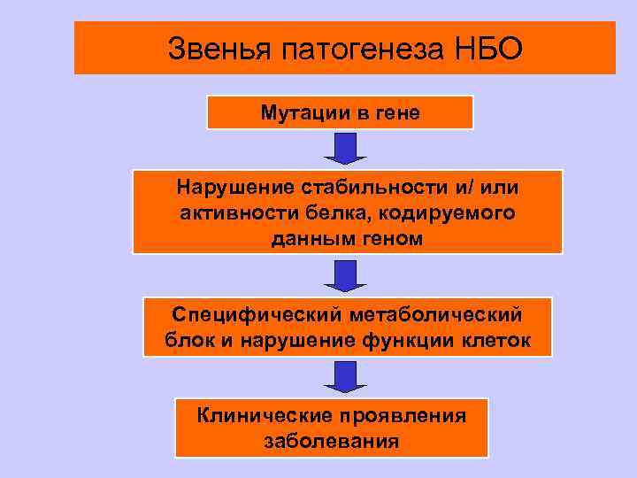 Звенья патогенеза НБО Мутации в гене Нарушение стабильности и/ или активности белка, кодируемого данным