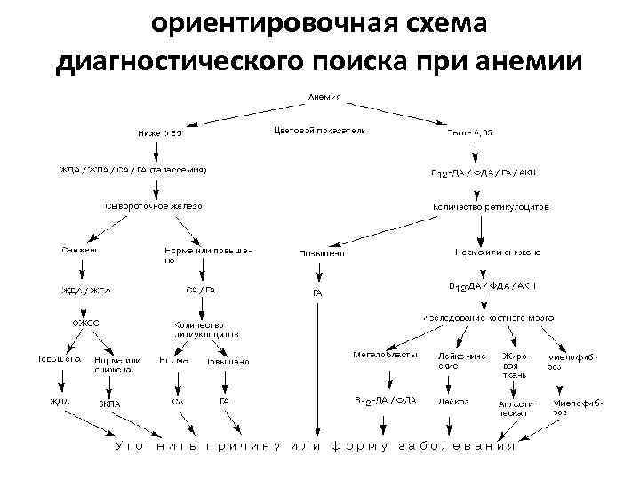 ориентировочная схема диагностического поиска при анемии 