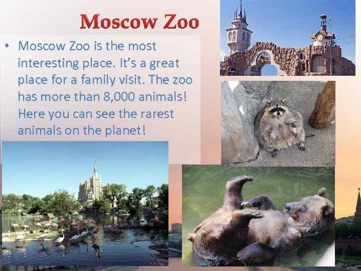 Moscow Zoo • Moscow Zoo is the most interesting place. It’s a great place