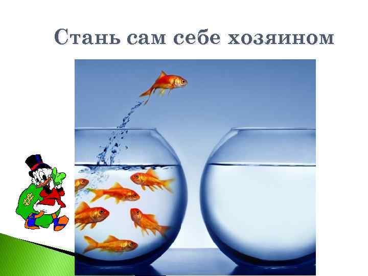 Стань сам себе хозяином 