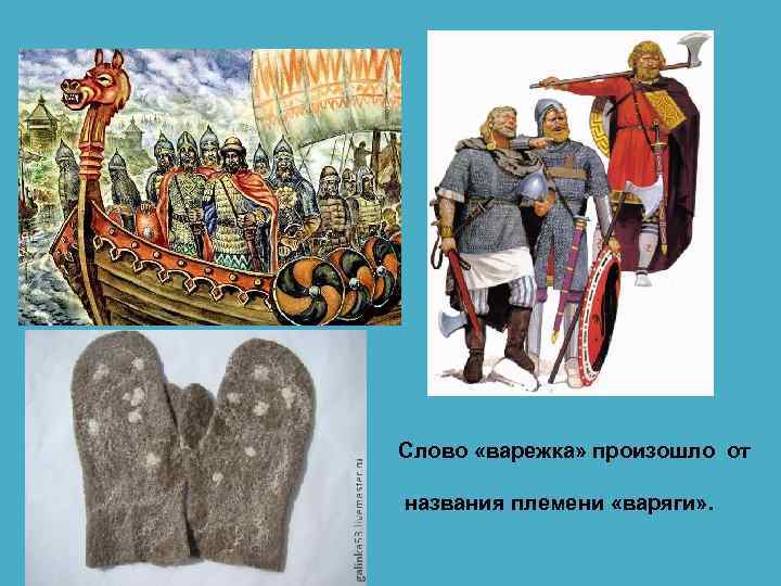 Слово «варежка» произошло от названия племени «варяги» . 