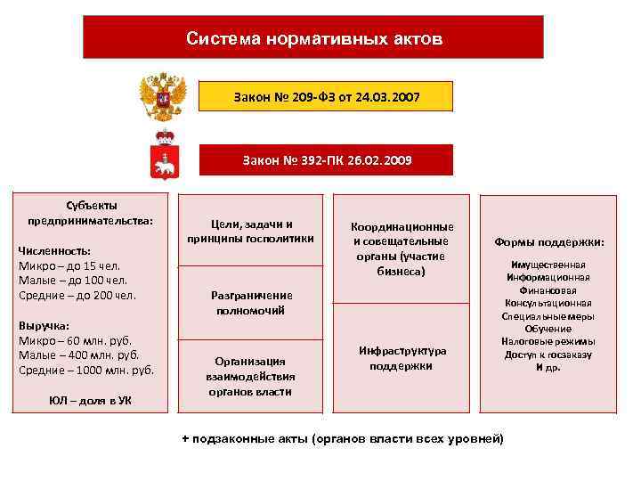 Система нормативных актов Закон № 209 -ФЗ от 24. 03. 2007 Закон № 392