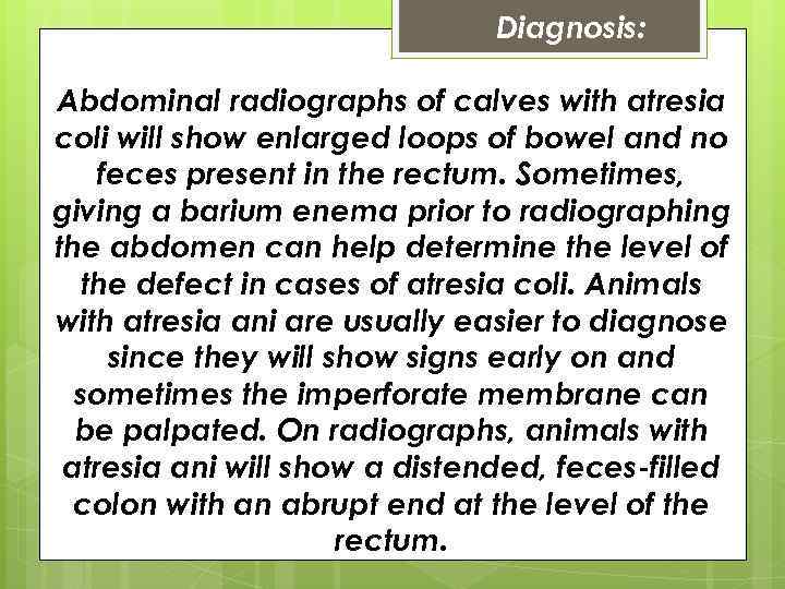 Diagnosis: Abdominal radiographs of calves with atresia coli will show enlarged loops of bowel