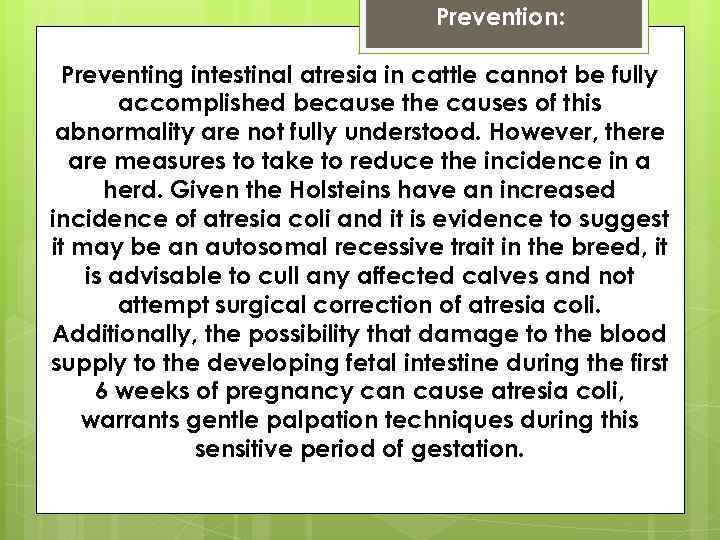 Prevention: Preventing intestinal atresia in cattle cannot be fully accomplished because the causes of