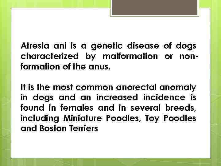 Atresia ani is a genetic disease of dogs characterized by malformation or nonformation of