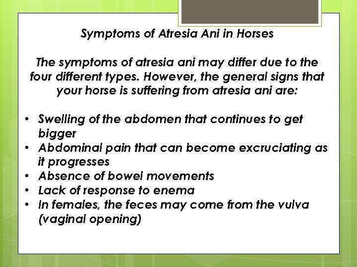 Symptoms of Atresia Ani in Horses The symptoms of atresia ani may differ due