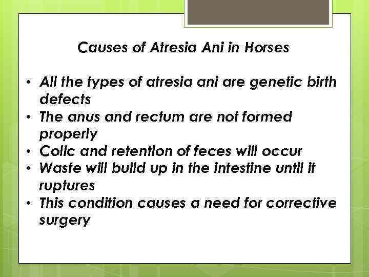 Causes of Atresia Ani in Horses • All the types of atresia ani are