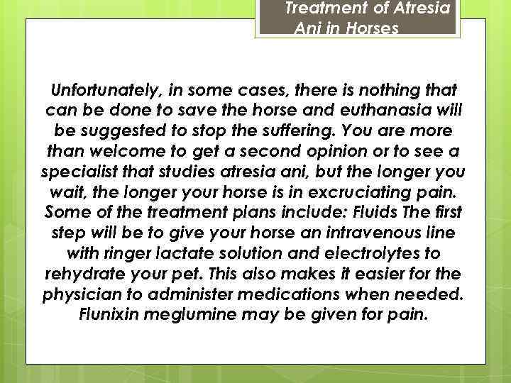 Treatment of Atresia Ani in Horses Unfortunately, in some cases, there is nothing that