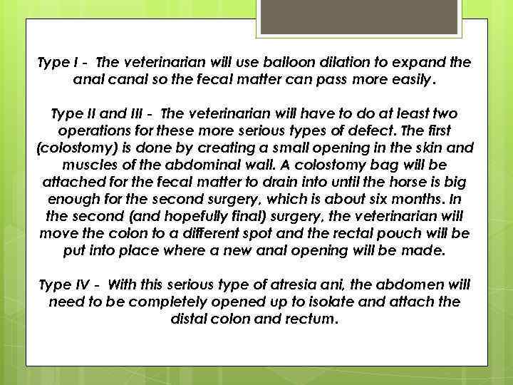 Type I - The veterinarian will use balloon dilation to expand the anal canal