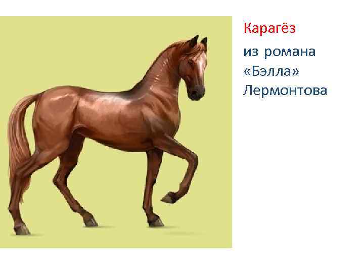 Карагёз из романа «Бэлла» Лермонтова 