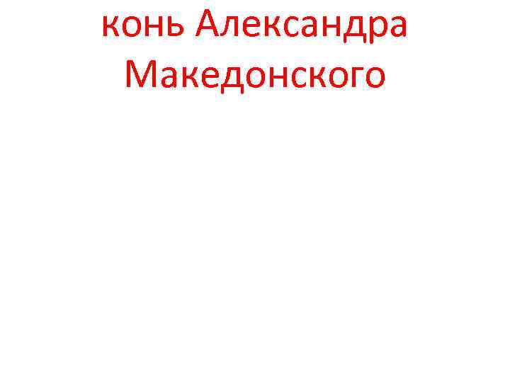 конь Александра Македонского 