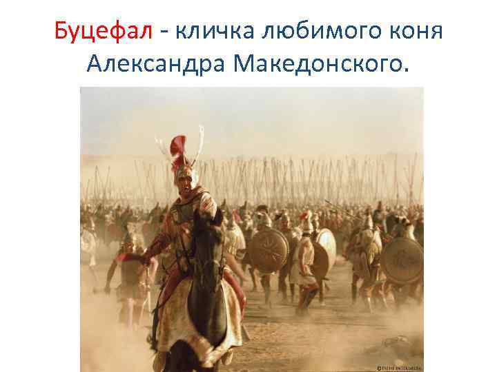 Буцефал - кличка любимого коня Александра Македонского. 