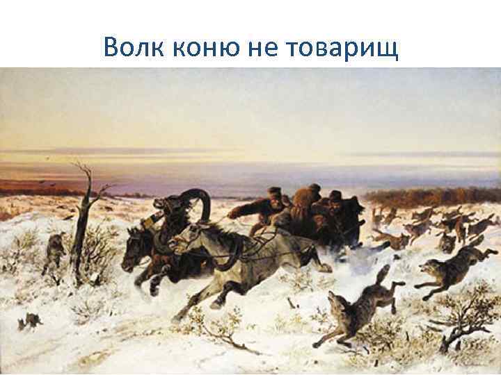Волк коню не товарищ 