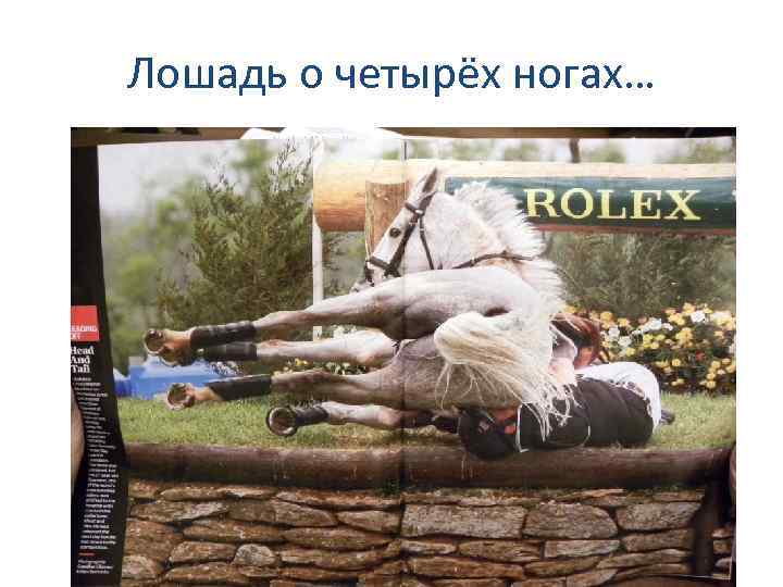 Лошадь о четырёх ногах… 