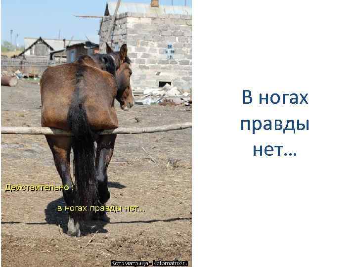 В ногах правды нет… 