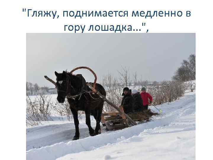 "Гляжу, поднимается медленно в гору лошадка. . . ", 